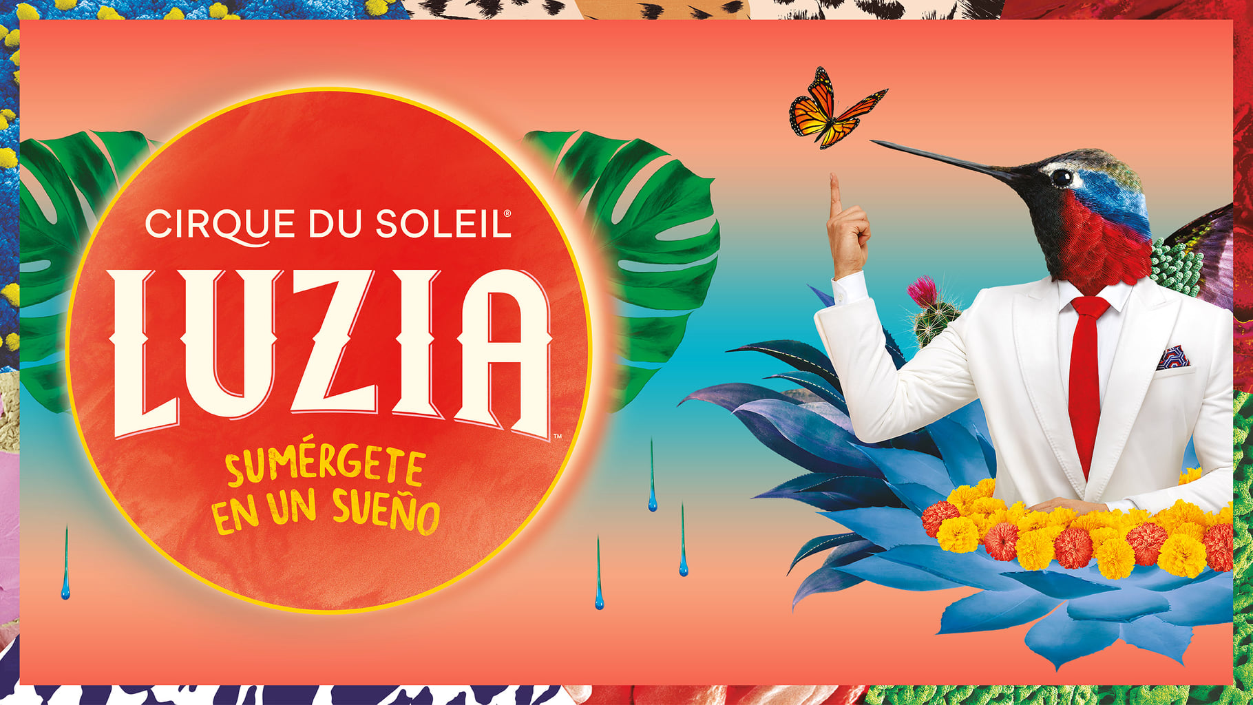 LUZIA Cirque du Soleil